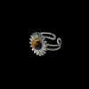 Zilverkleurige stainless steel ring met zon en tijgeroog cabochon